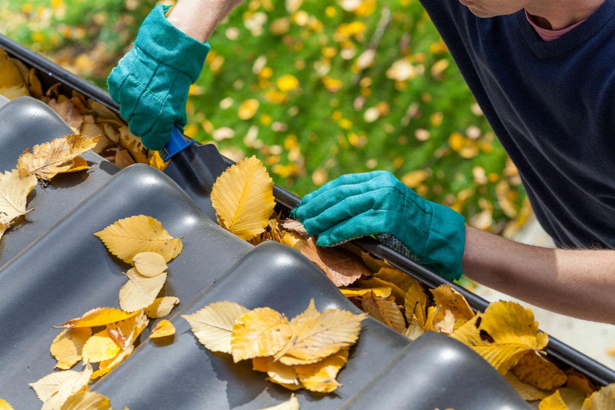 couvreur enlevant les feuilles mortes dans la gouttière